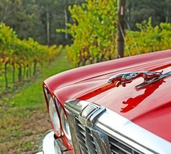 Valley Farm Vineyard Cottages Healesville Exterior photo