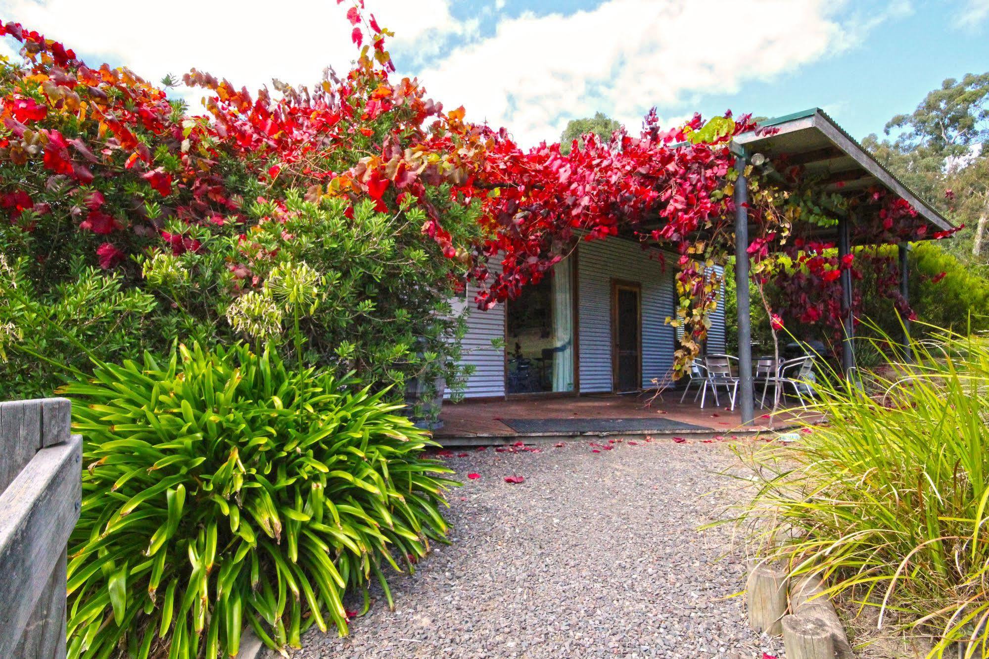 Valley Farm Vineyard Cottages Healesville Exterior photo