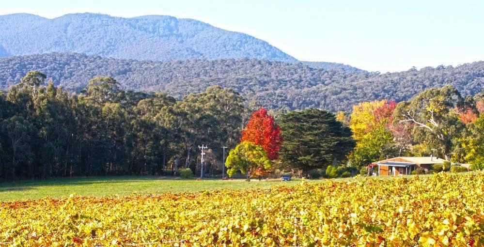 Valley Farm Vineyard Cottages Healesville Exterior photo