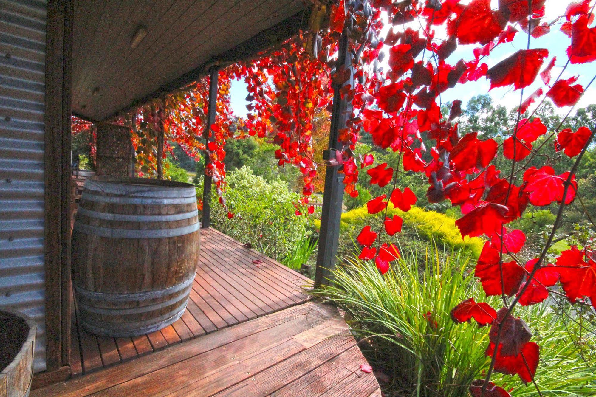 Valley Farm Vineyard Cottages Healesville Exterior photo