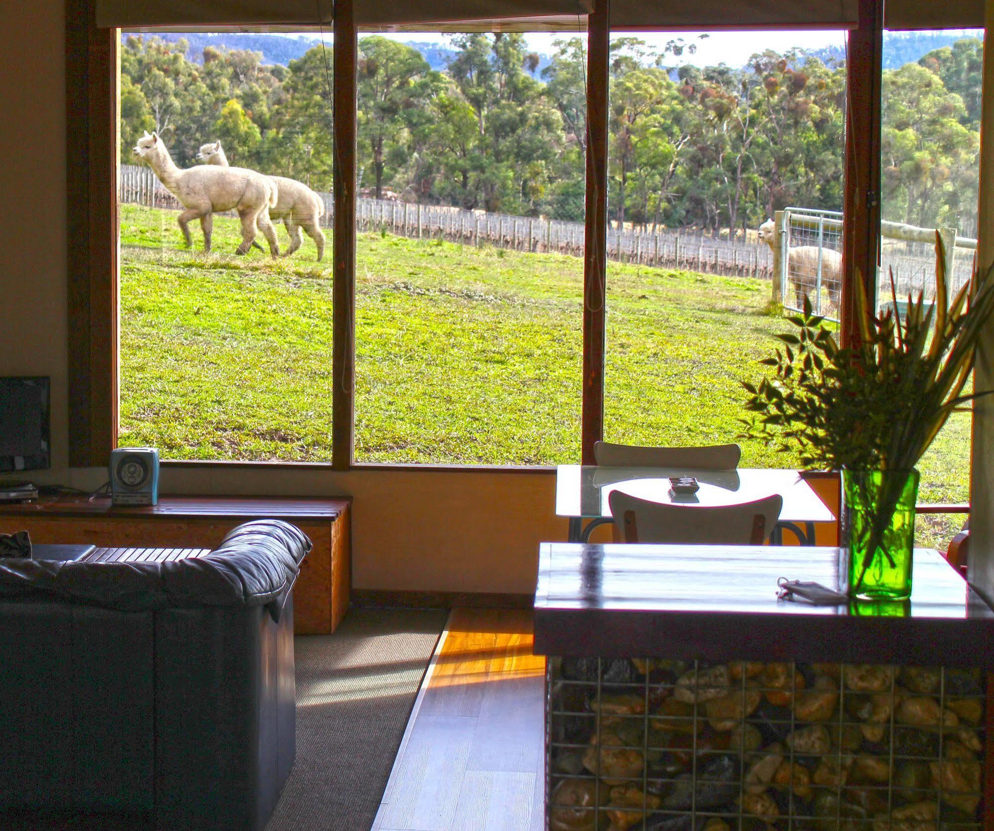 Valley Farm Vineyard Cottages Healesville Exterior photo